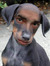 Tyree S...