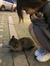 ⁺‧₊˚ ཐི⋆ ♱ via ♱ ⋆ཋྀ ˚₊‧⁺
