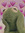 member photo member photo