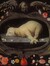 Darling Lambkin