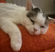 jess ☕️&#x1f371;&#x1fa90;&#x1f9a5;