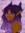 LavenderLunaFairy