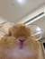 Martyna