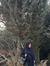 parsa