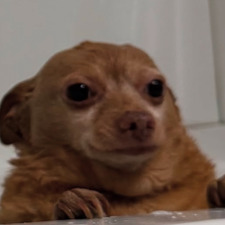 hew