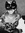 Evi