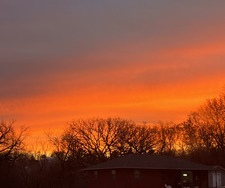 Brooklynn Molby-Johnson