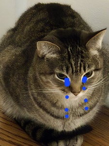 LuLuMcSchmulu