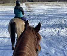 Ester Kamila Milerová