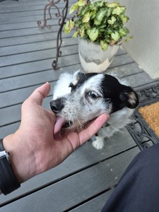 Jack