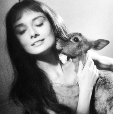 Bambi