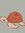TheTurt...