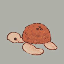 TheTurtleBug