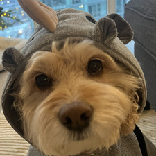 Erika Maximuck
