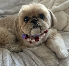Sofia