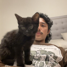 Jaq