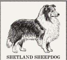 shetlandandwool