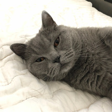 Juliane Nørgaard Bech