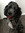 ADDISON FRANCK | 3 comments