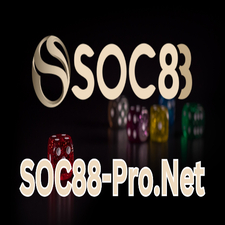 Soc88-Pro Net