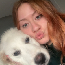 Jessy