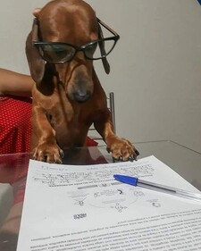 Daniel Sandoval Salgado