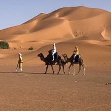 Kingdom Sahara Desert