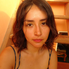 minerva  Cerna