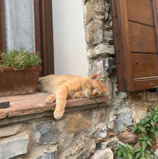 lydia ⋆˚𝜗𝜚˚⋆