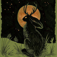 Alexoxo（╹◡╹）