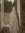 Tasneem