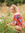 Lacey Gilmer | 1 comments