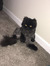Lynda W...