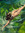 Alexis Luke | 3 comments