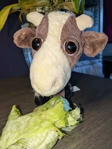 Χρήστος Αντωνίου