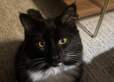 Anna ⋆ ｡⋆౨ৎ˚