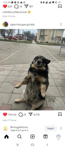 Kaiser