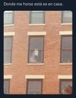 G.