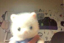 ⁺‧₊˚ Lien˚₊‧⁺