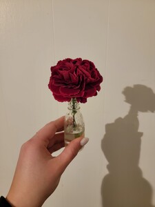 Hannah