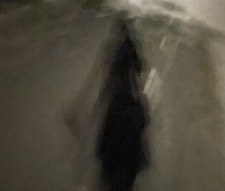 Meg
