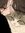 Coline