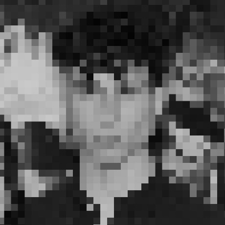 Goodreads profile picture for @fear