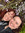 member photo member photo