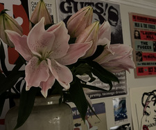 Raya Beesley-Harrison