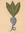 Frankincense 6