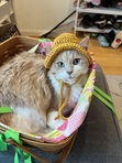 Olivia