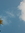 Awan