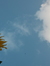 Awan