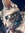 Eve